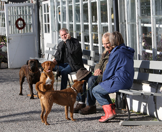 結婚25周年(銀婚式)・30周年の記念におすすめの結婚指輪