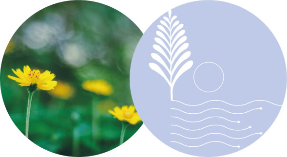 40代のセカンドマリッジリング