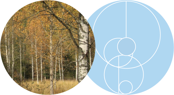 サンプルリング試着