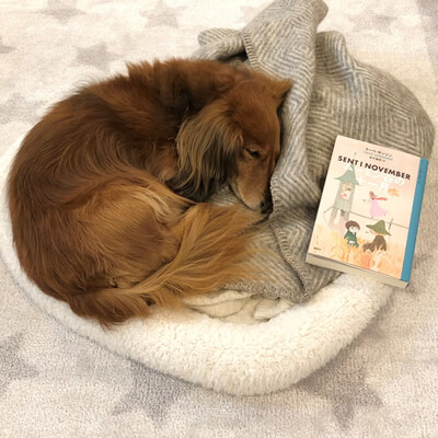 ムーミン投稿画像4